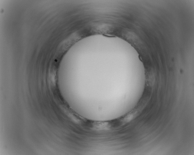 X0000062840334200601272022