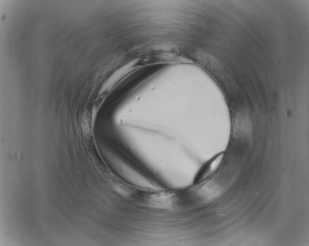 X0000062840335200601272022