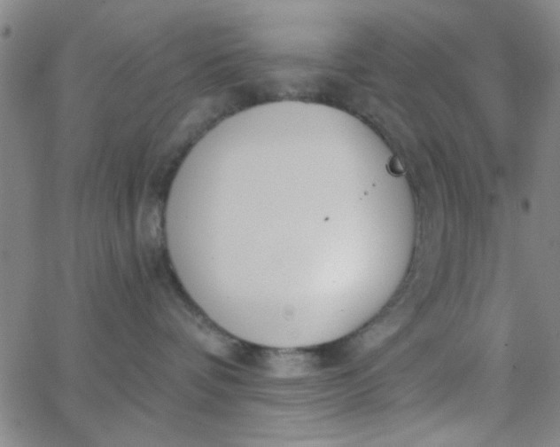 X0000062840336200601272022