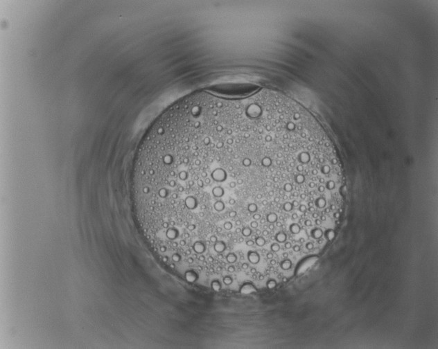 X0000062840337200601272022