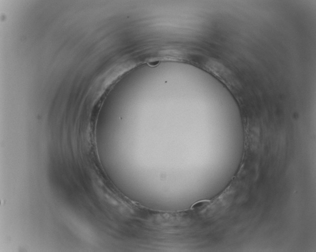 X0000062840338200601272022