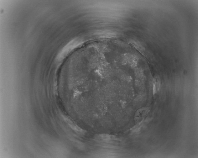 X0000062840339200601272022