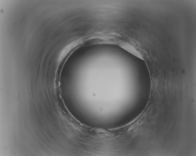 X0000062840340200601272022