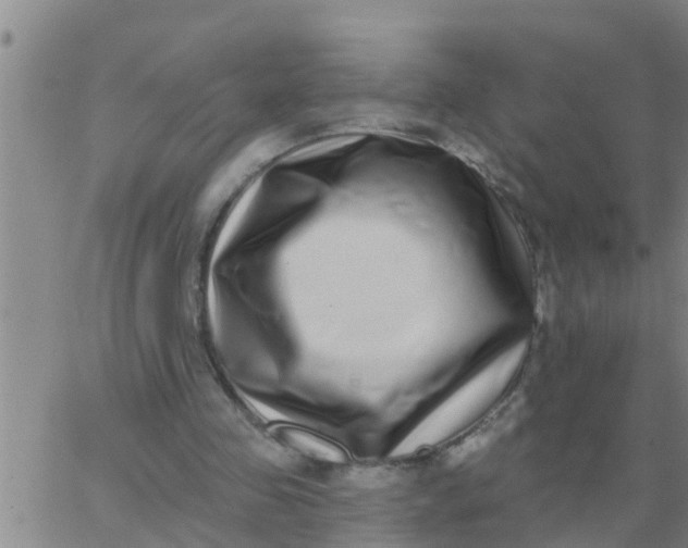 X0000062840341200601272022