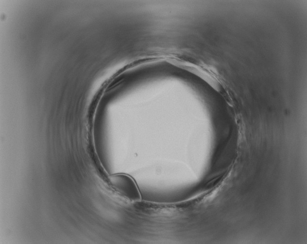 X0000062840342200601272022