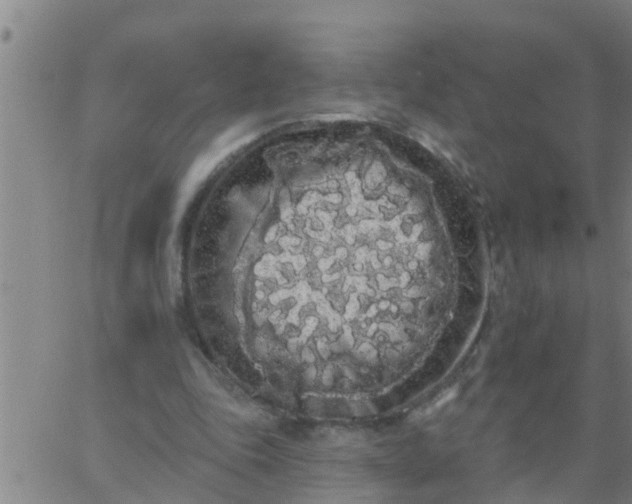 X0000062840343200601272022