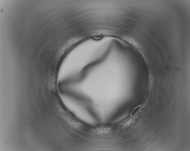 X0000062840345200601272022