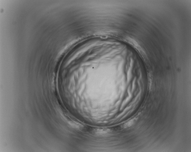 X0000062840346200601272022