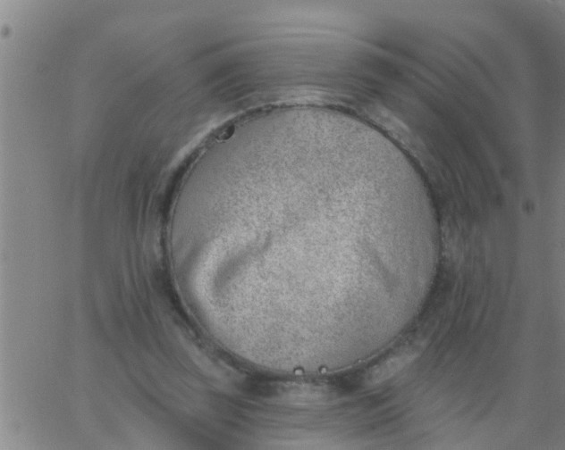 X0000062840347200601272022