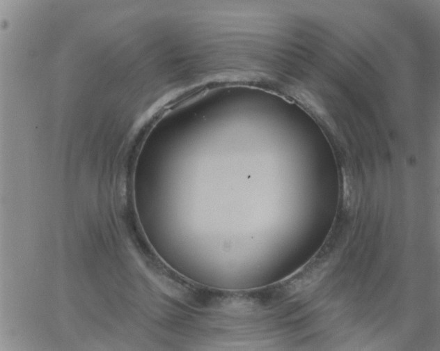 X0000062840348200601272022