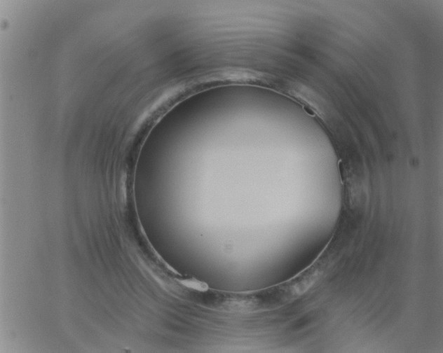 X0000062840350200601272022