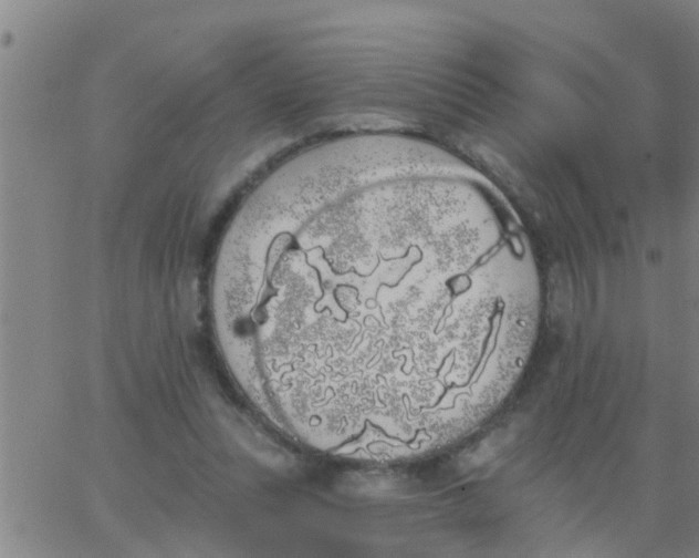 X0000062840351200601272022