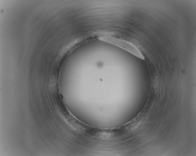 X0000062840352200601272022