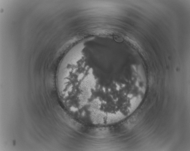 X0000062840353200601272022