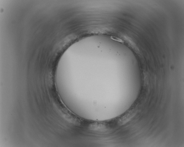 X0000062840354200601272022