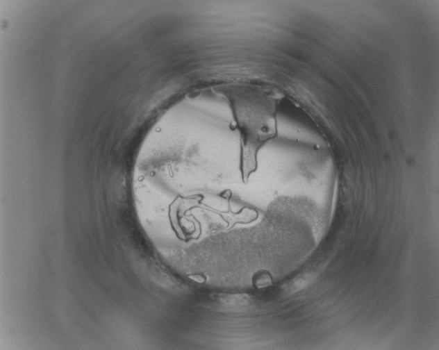 X0000062840355200601272022