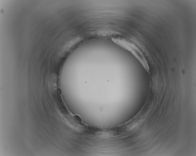 X0000062840356200601272022