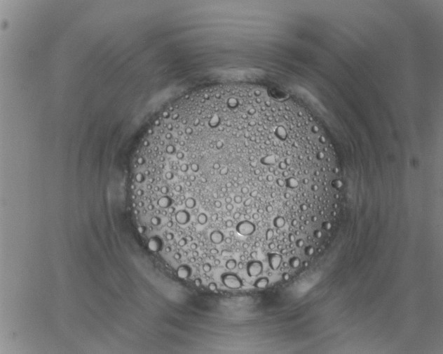 X0000062840357200601272022