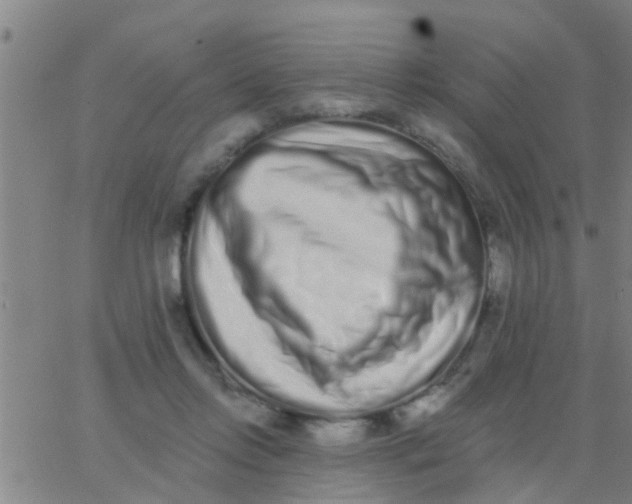 X0000062840358200601272022