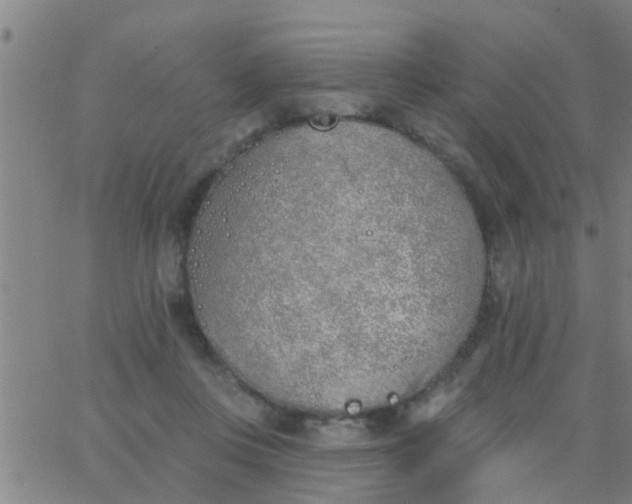 X0000062840359200601272022