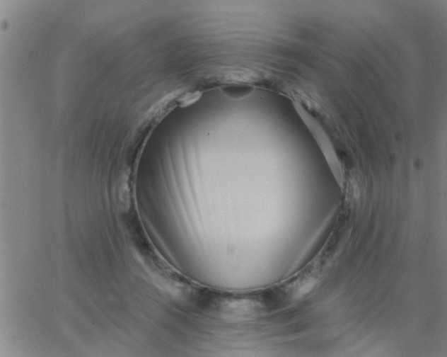 X0000062840360200601272022