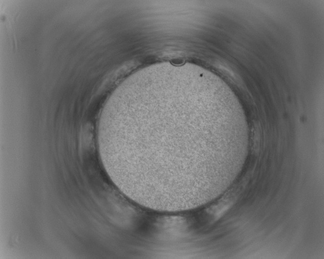 X0000062840361200601272022