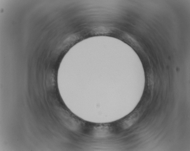 X0000062840362200601272022