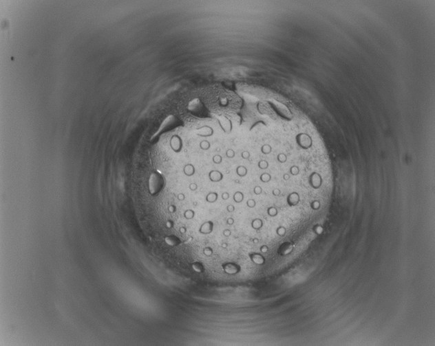 X0000062840363200601272022