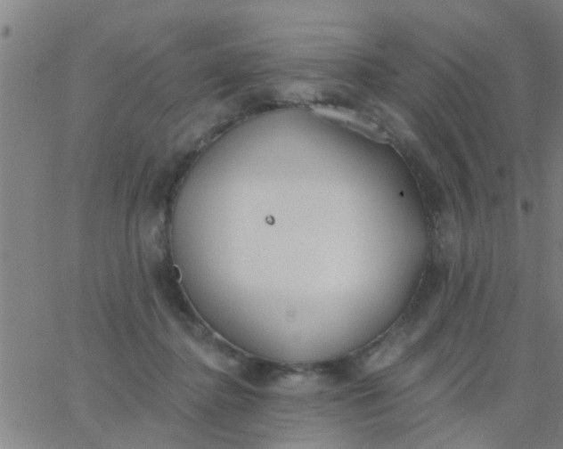 X0000062840364200601272022