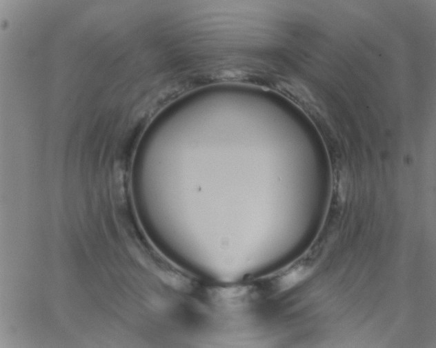 X0000062840366200601272022