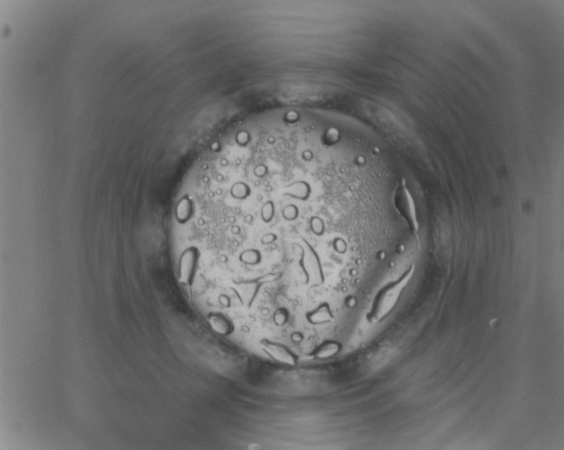 X0000062840367200601272022