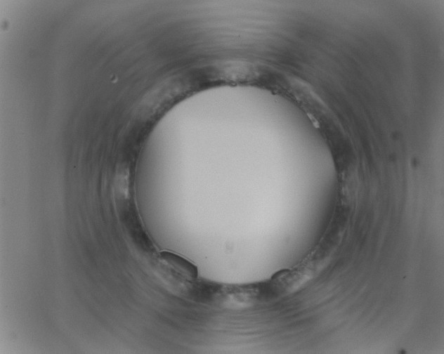 X0000062840368200601272022