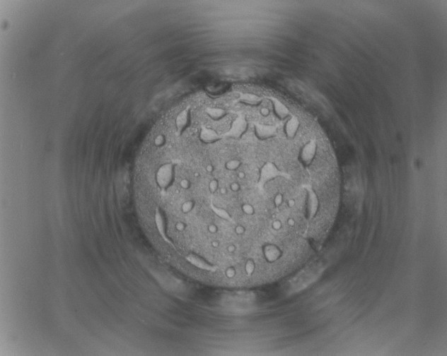 X0000062840369200601272022