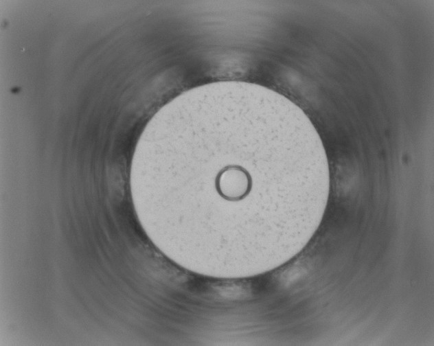 X0000062840370200601272022