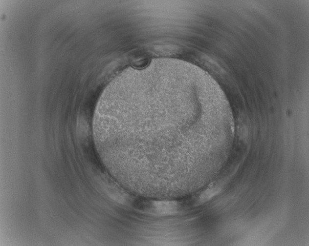 X0000062840371200601272022