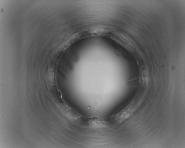 X0000062840372200601272022