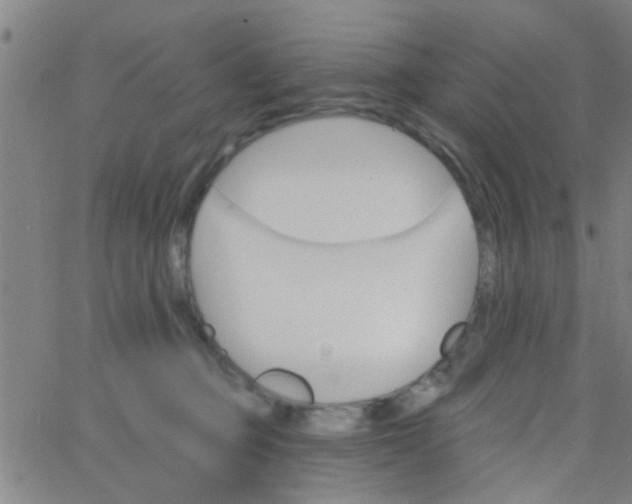 X0000062840373200601272022