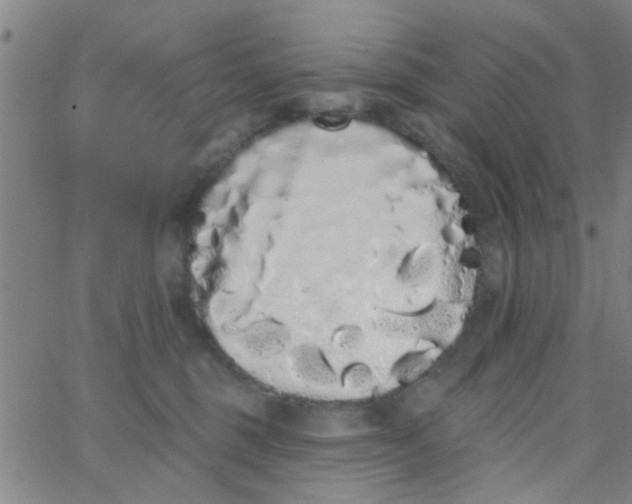 X0000062840375200601272022