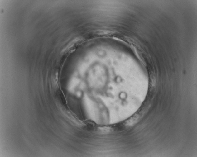 X0000062840376200601272022