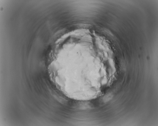 X0000062840377200601272022