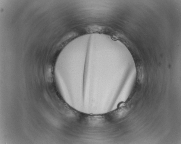 X0000062840378200601272022