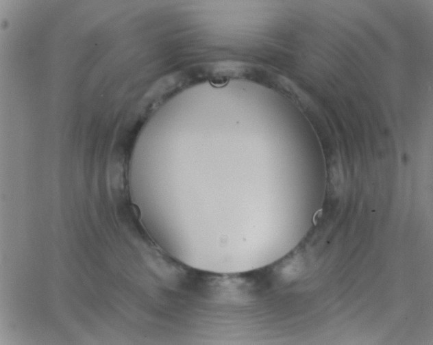 X0000062840379200601272022