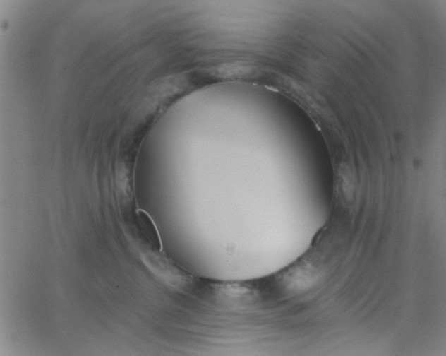 X0000062840380200601272022