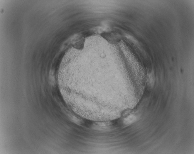 X0000062840381200601272022