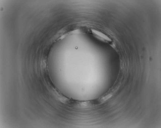 X0000062840382200601272022