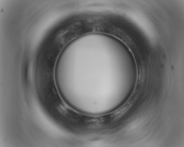 X0000062840383200601272022