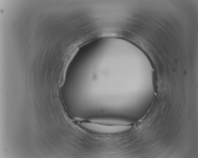 X0000062840385200601272022