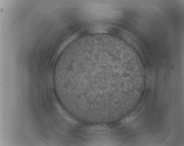 X0000062840386200601272022