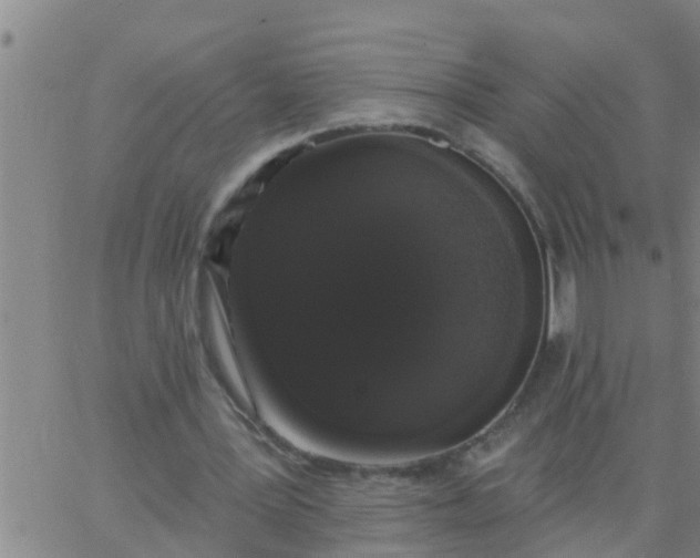 X0000062840387200601272021