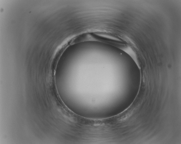 X0000062840388200601272021